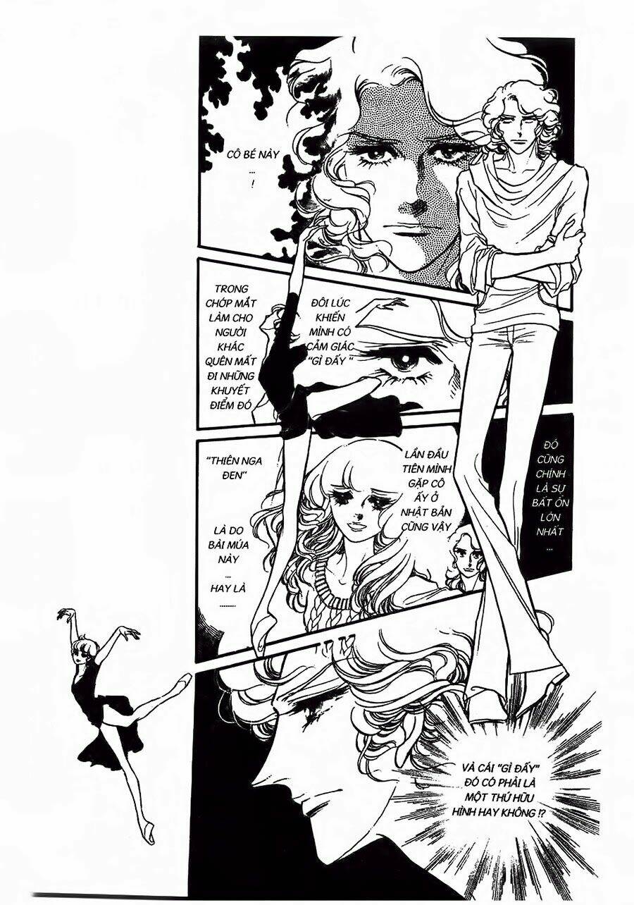 Swan - Vũ Khúc Thiên Nga: Chapter 26
