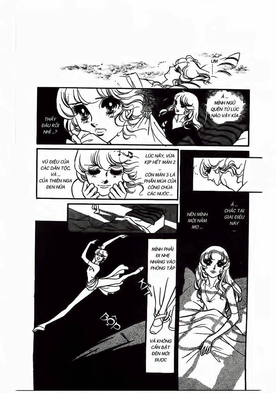 Swan - Vũ Khúc Thiên Nga: Chapter 26