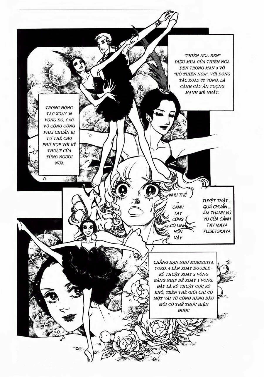 Swan - Vũ Khúc Thiên Nga: Chapter 27