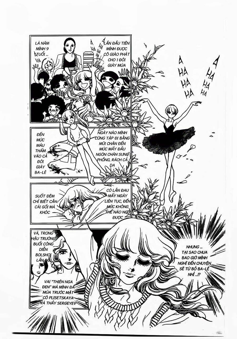 Swan - Vũ Khúc Thiên Nga: Chapter 28