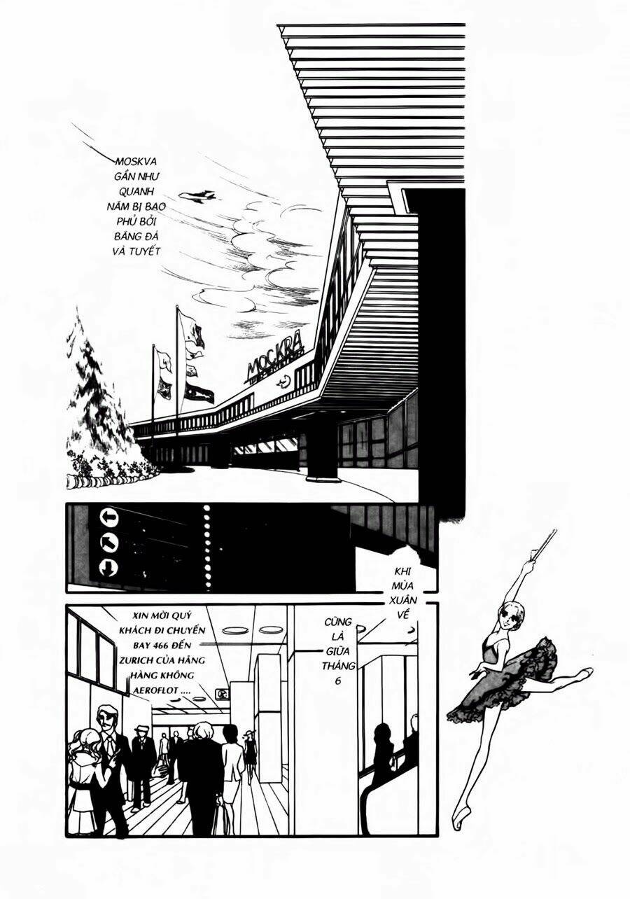 Swan - Vũ Khúc Thiên Nga: Chapter 31