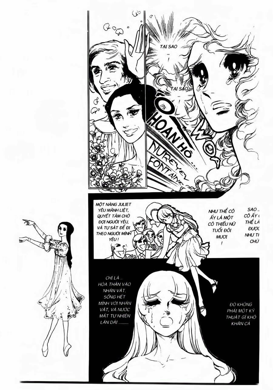 Swan - Vũ Khúc Thiên Nga: Chapter 33