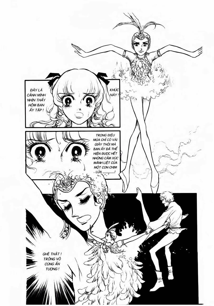 Swan - Vũ Khúc Thiên Nga: Chapter 34