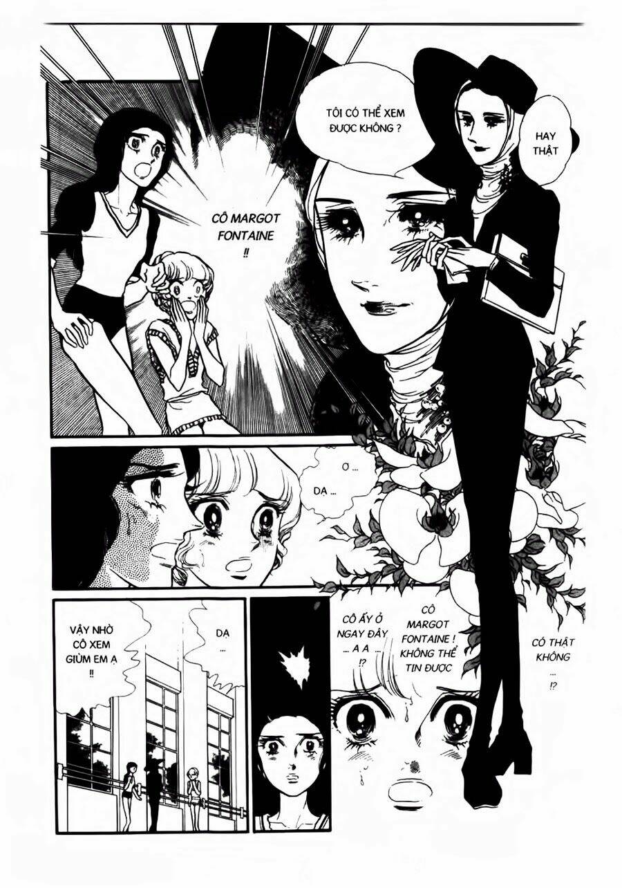 Swan - Vũ Khúc Thiên Nga: Chapter 35