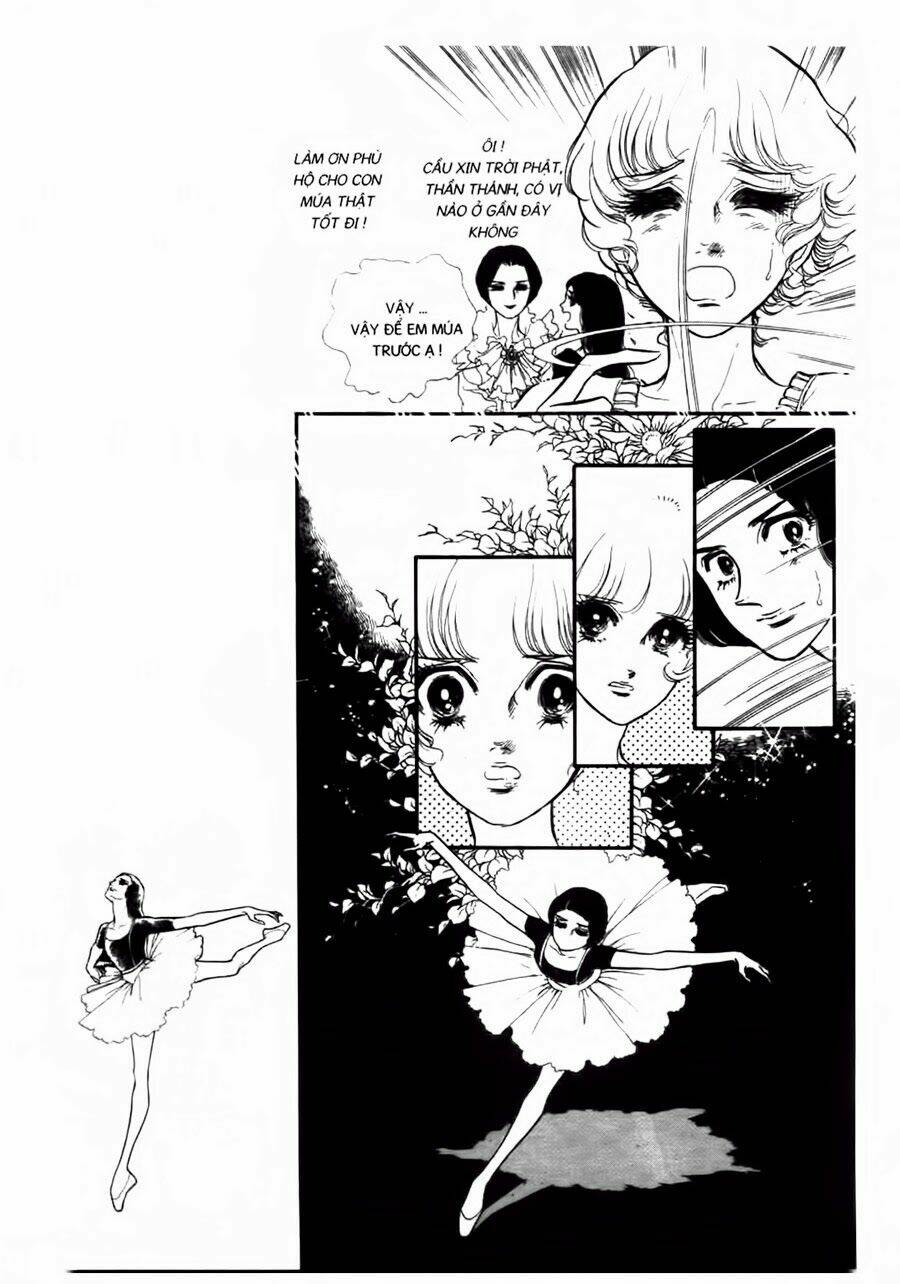 Swan - Vũ Khúc Thiên Nga: Chapter 35