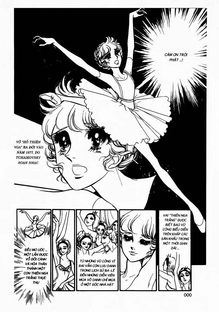 Swan - Vũ Khúc Thiên Nga: Chapter 36