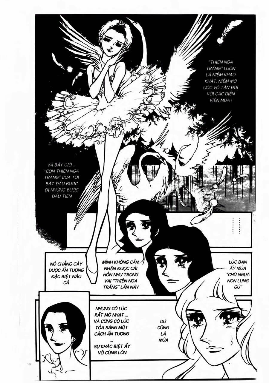 Swan - Vũ Khúc Thiên Nga: Chapter 36
