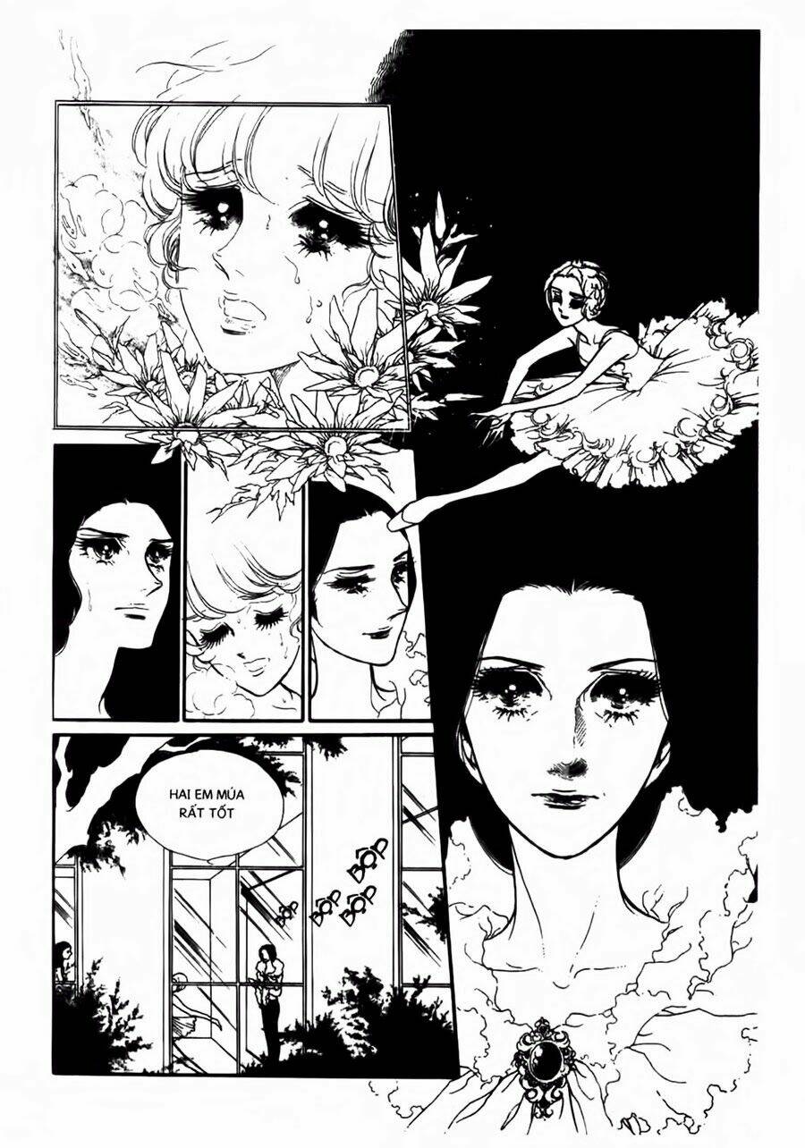 Swan - Vũ Khúc Thiên Nga: Chapter 36