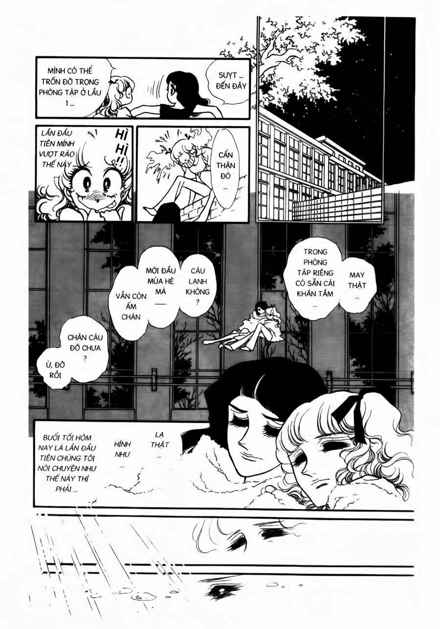 Swan - Vũ Khúc Thiên Nga: Chapter 37