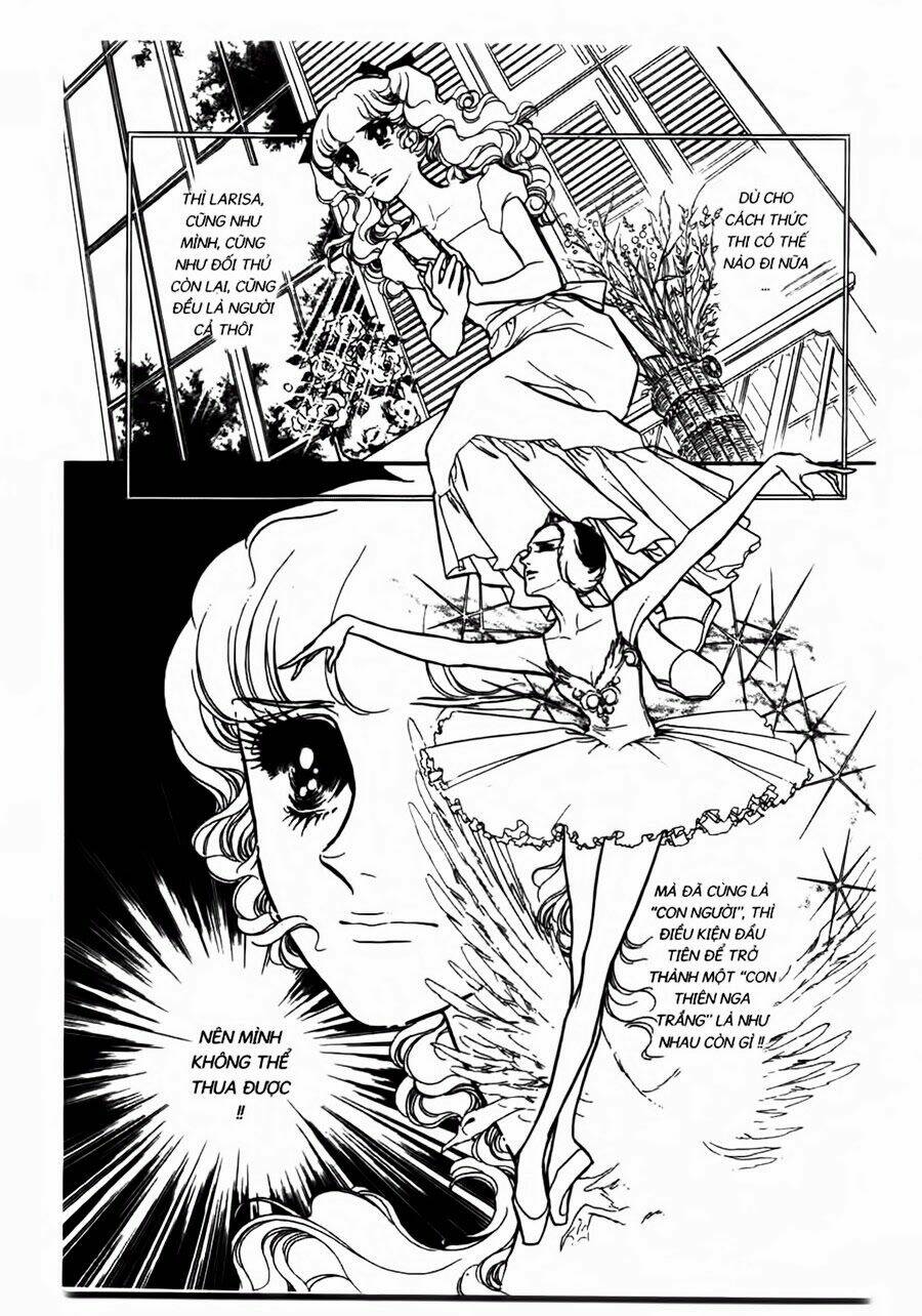 Swan - Vũ Khúc Thiên Nga: Chapter 38