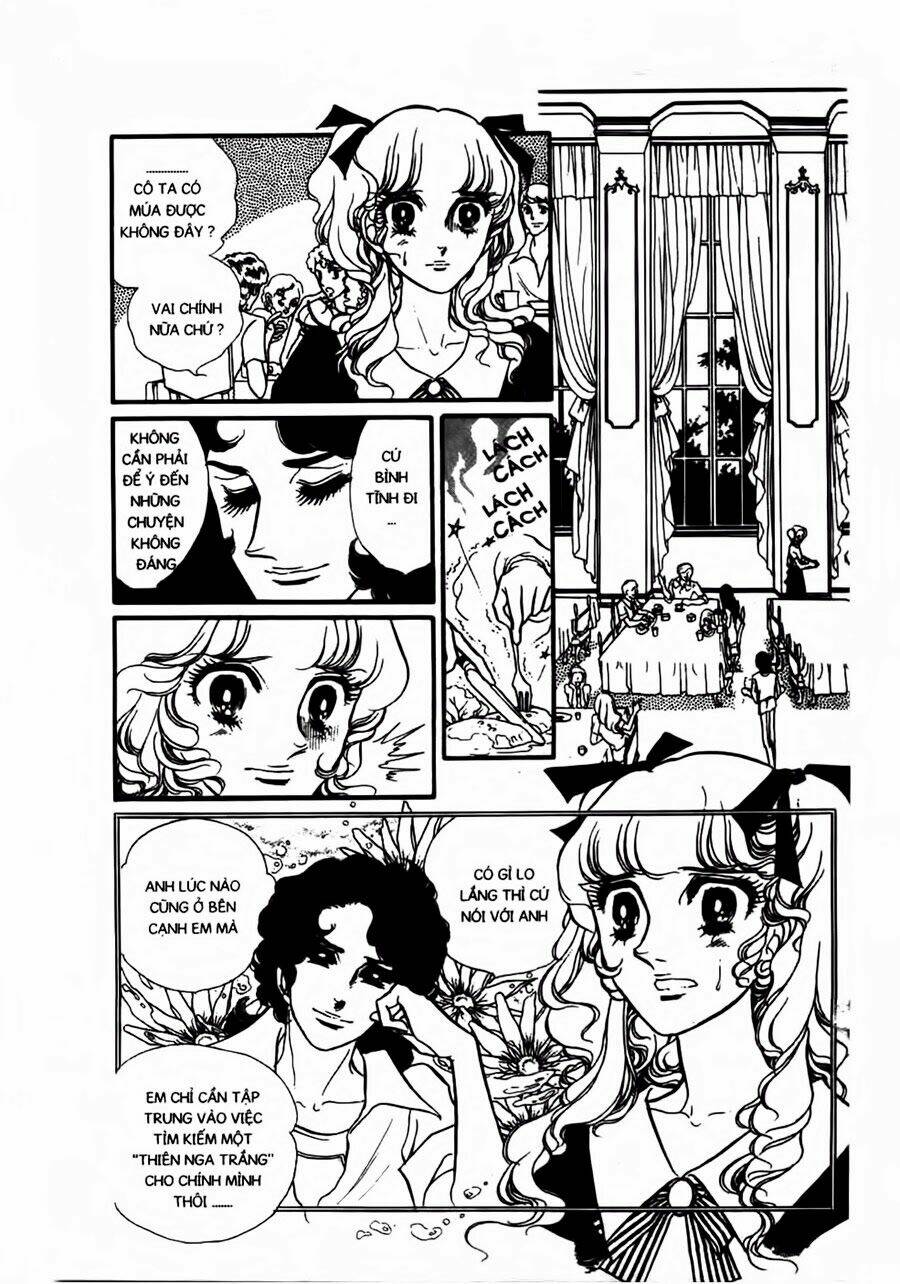 Swan - Vũ Khúc Thiên Nga: Chapter 40