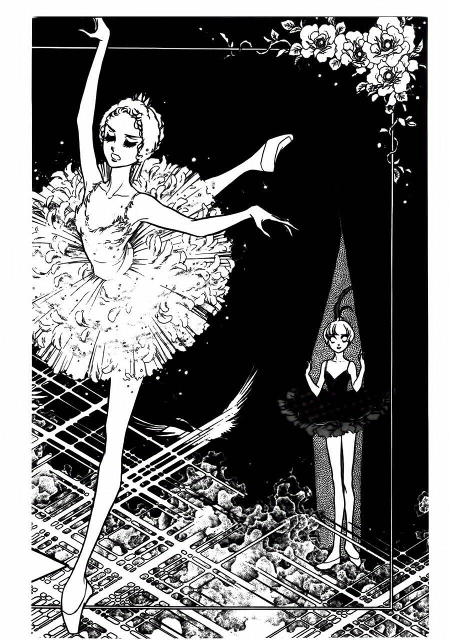 Swan - Vũ Khúc Thiên Nga: Chapter 41