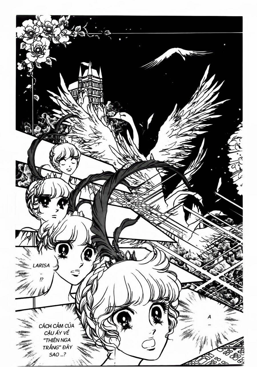 Swan - Vũ Khúc Thiên Nga: Chapter 41