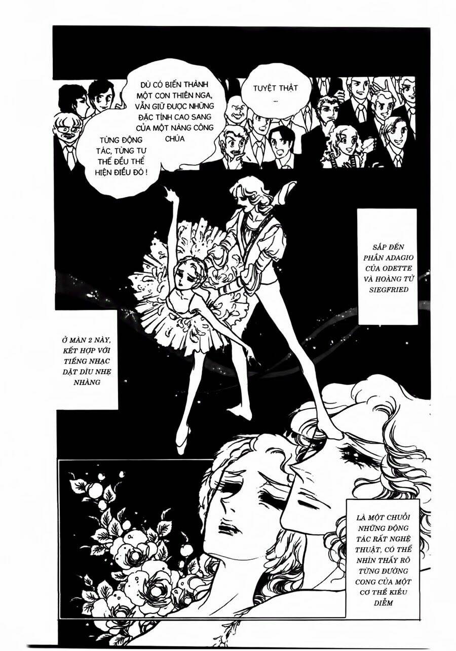Swan - Vũ Khúc Thiên Nga: Chapter 41