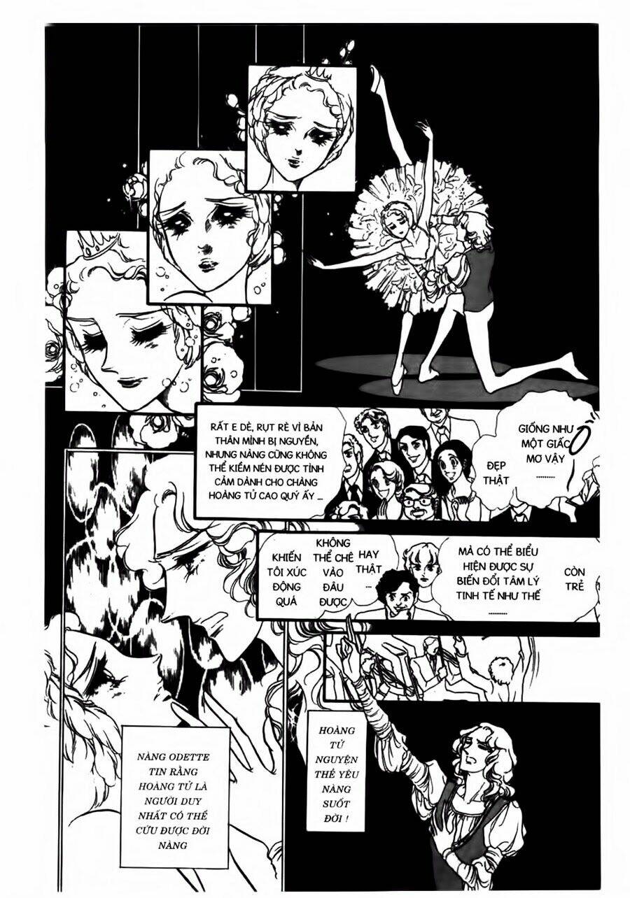 Swan - Vũ Khúc Thiên Nga: Chapter 41