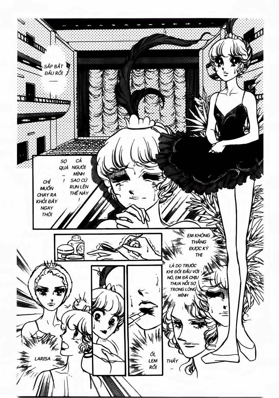 Swan - Vũ Khúc Thiên Nga: Chapter 41