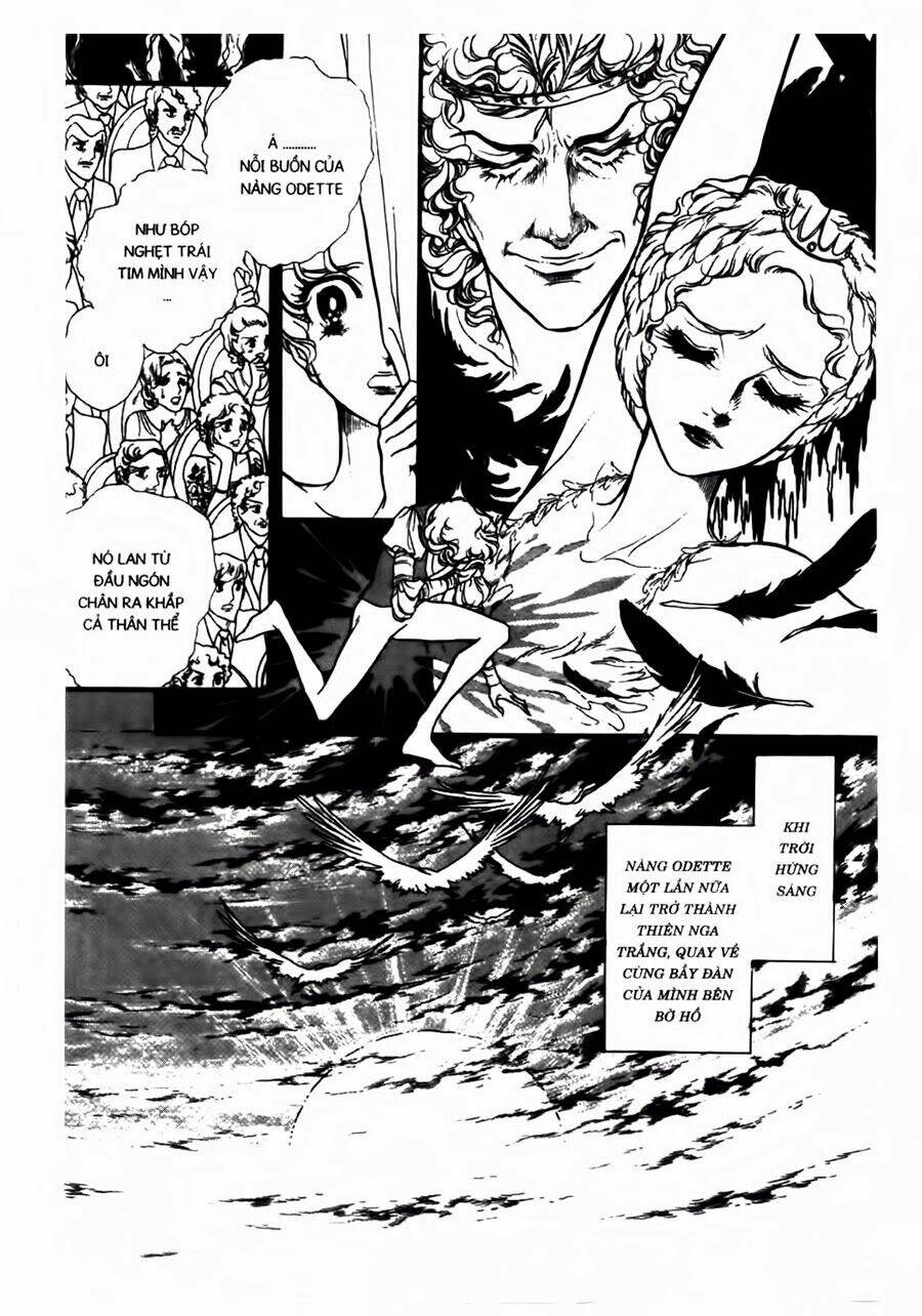 Swan - Vũ Khúc Thiên Nga: Chapter 42