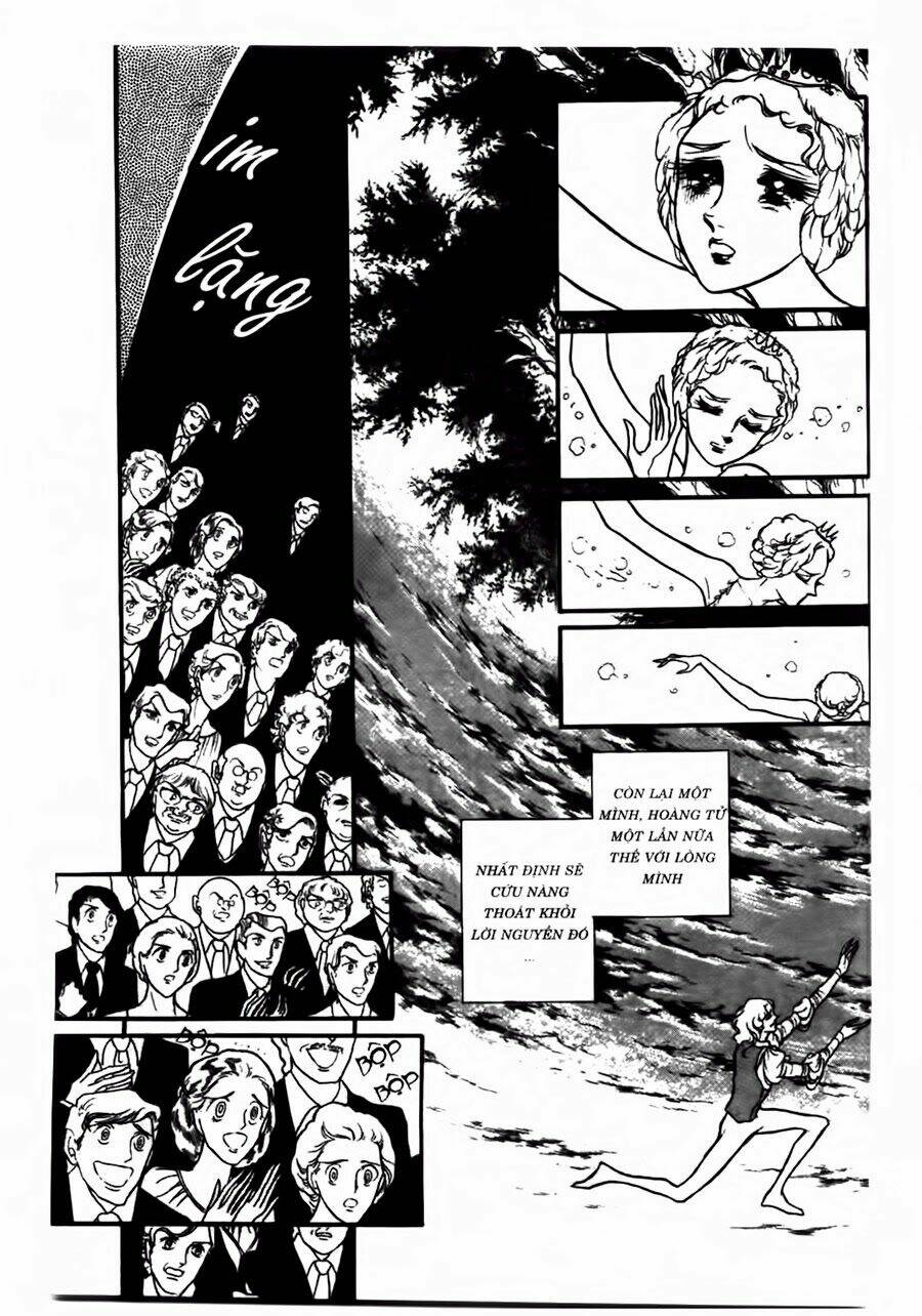 Swan - Vũ Khúc Thiên Nga: Chapter 42