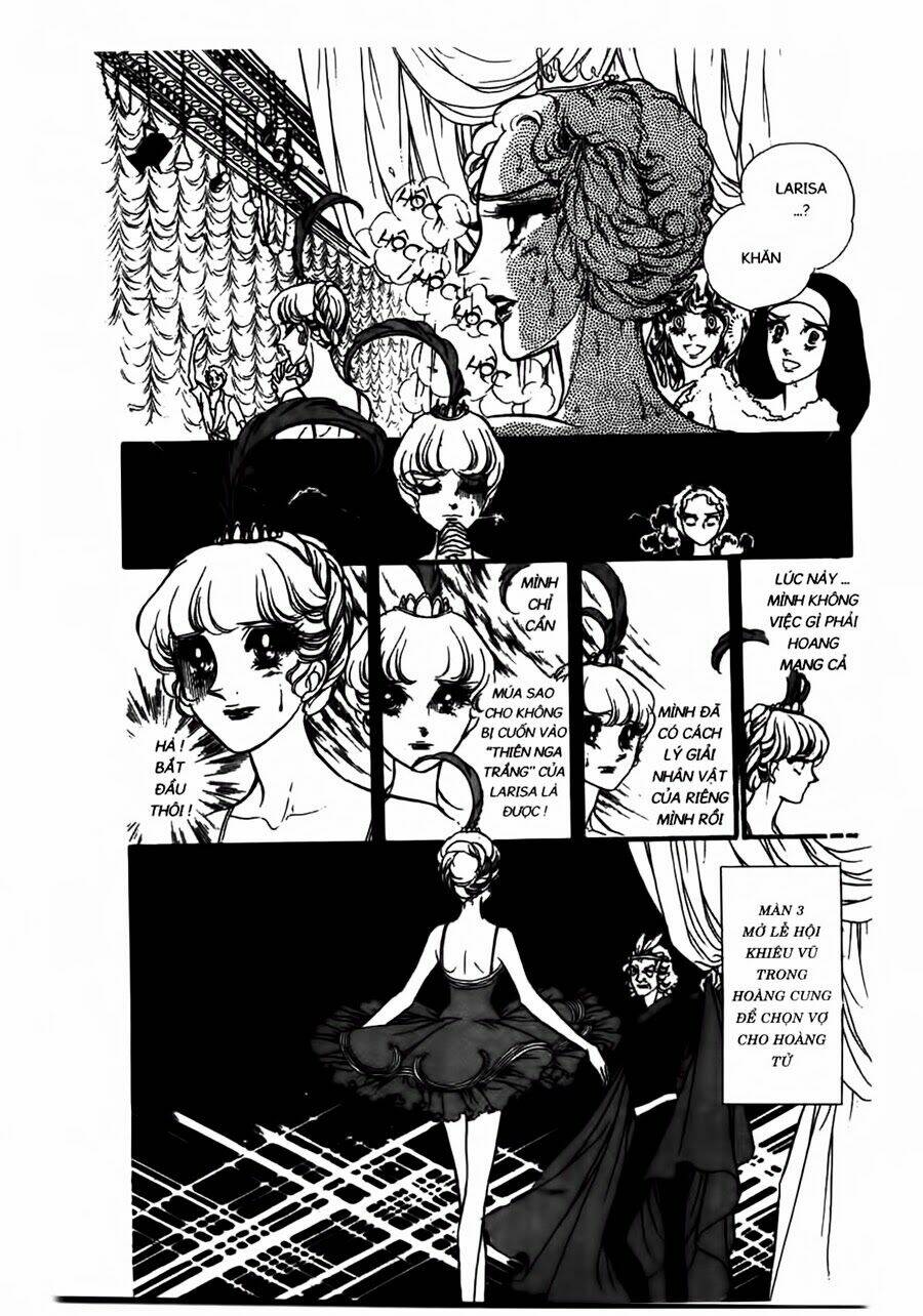 Swan - Vũ Khúc Thiên Nga: Chapter 42