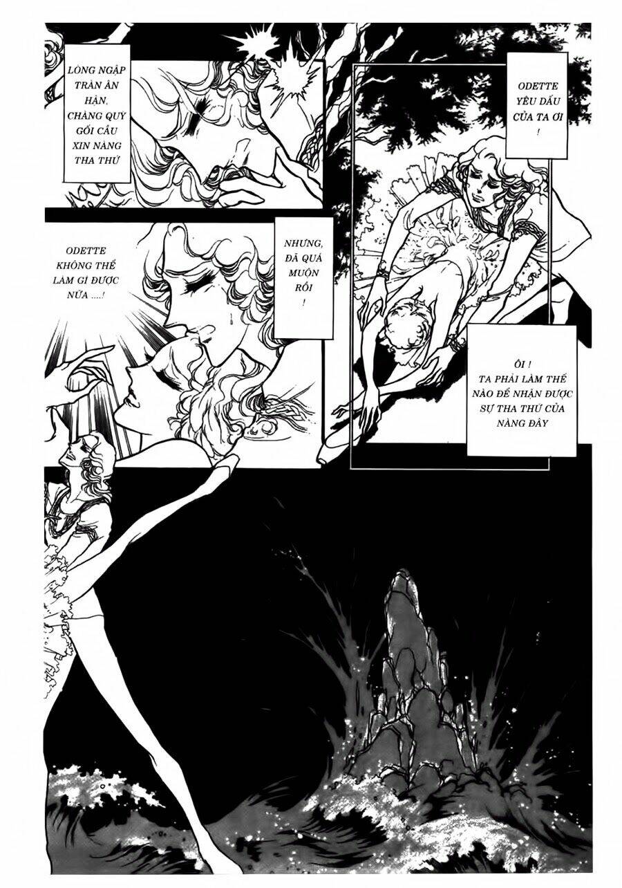 Swan - Vũ Khúc Thiên Nga: Chapter 43