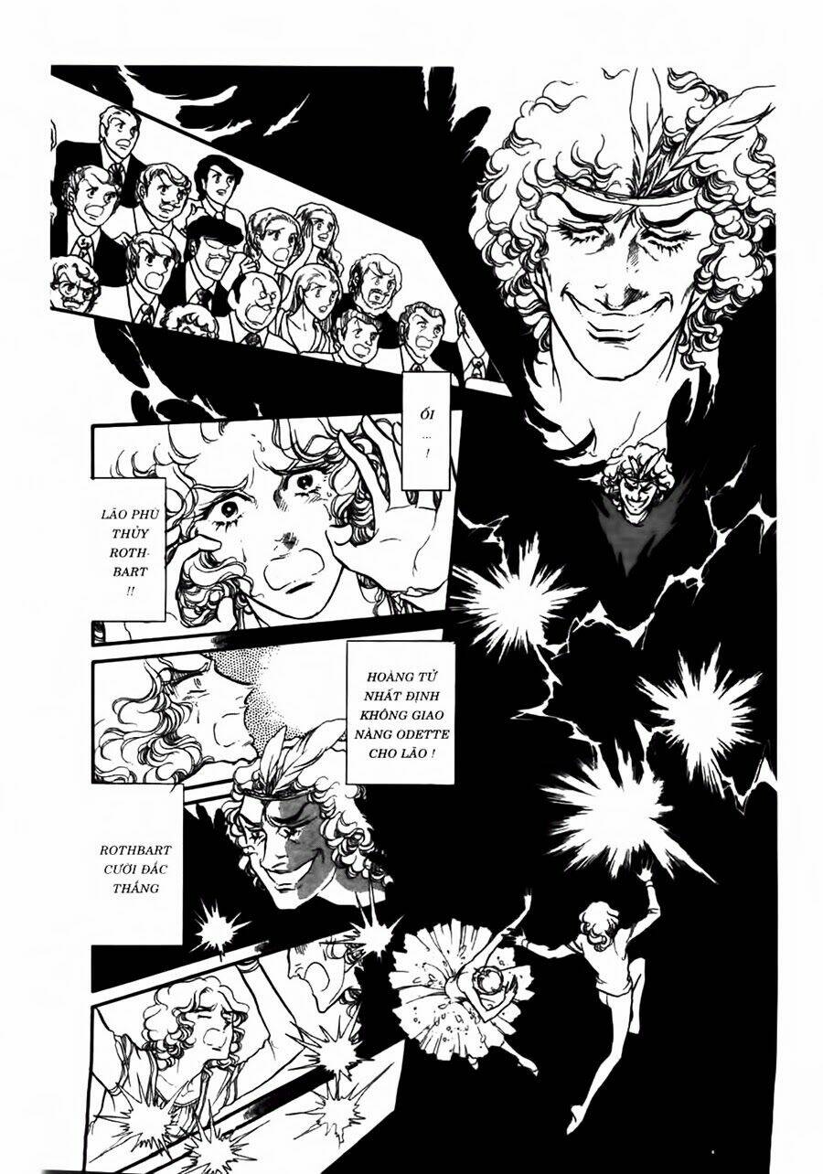 Swan - Vũ Khúc Thiên Nga: Chapter 43
