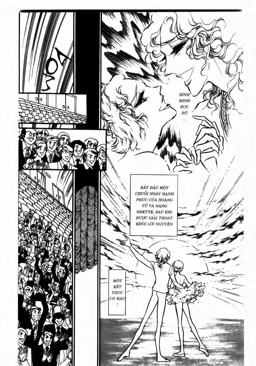 Swan - Vũ Khúc Thiên Nga: Chapter 43