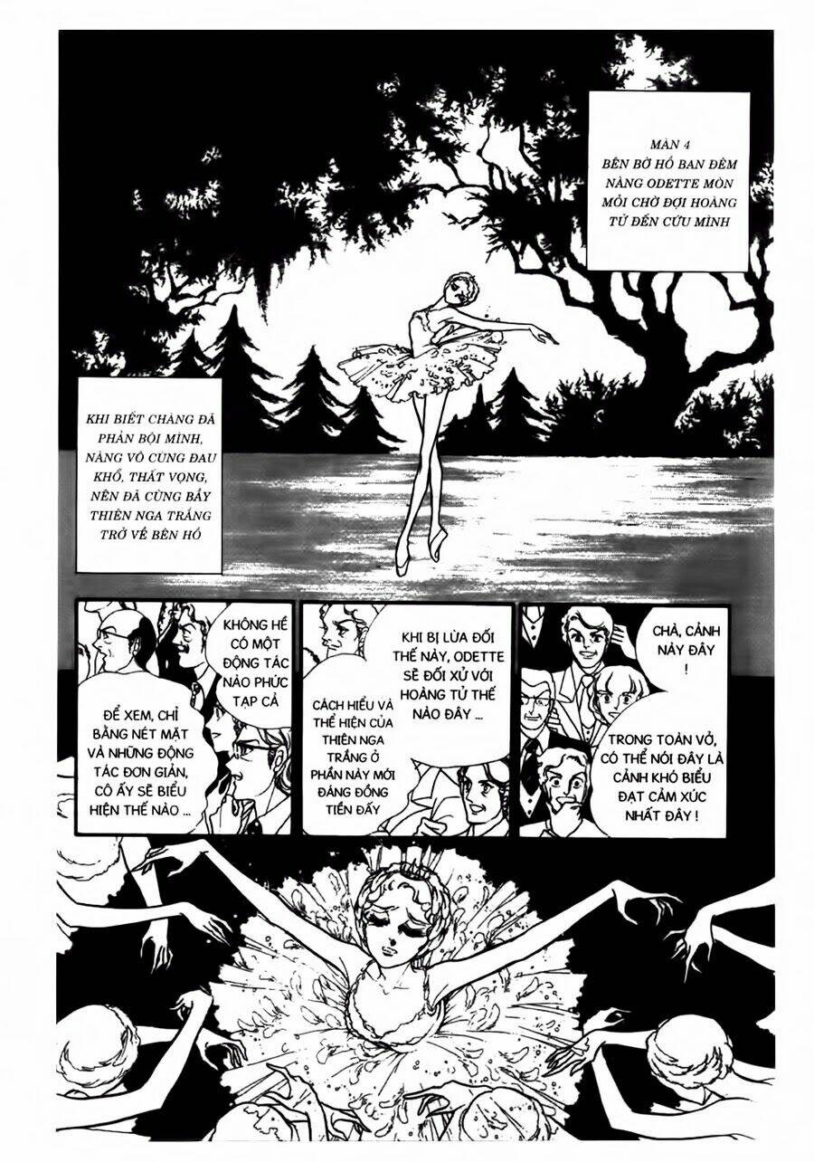 Swan - Vũ Khúc Thiên Nga: Chapter 43