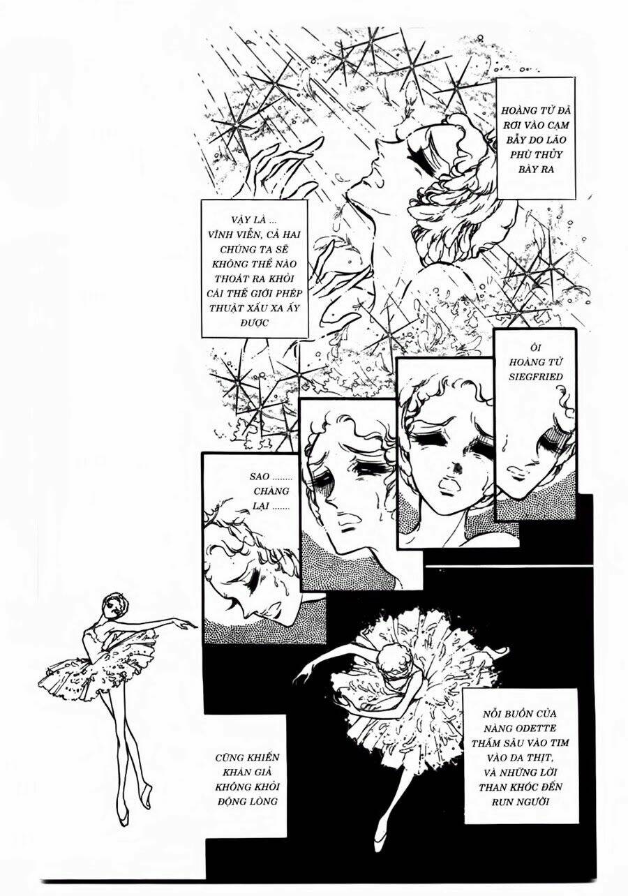Swan - Vũ Khúc Thiên Nga: Chapter 43