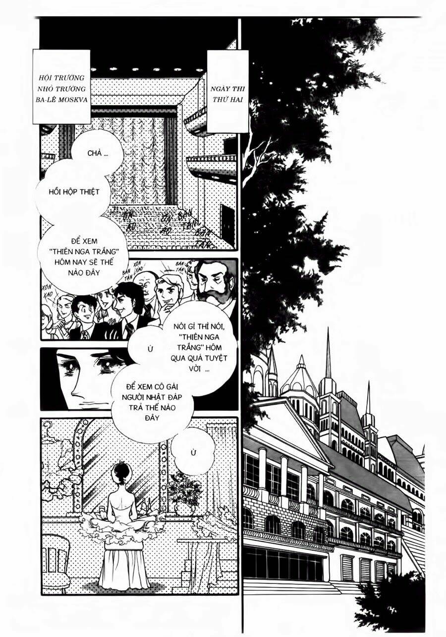 Swan - Vũ Khúc Thiên Nga: Chapter 44