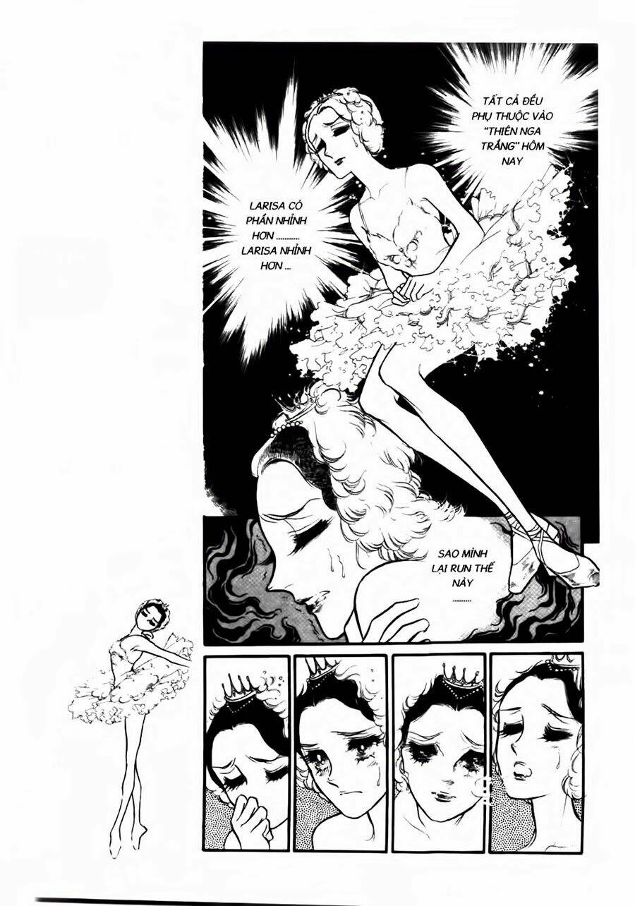 Swan - Vũ Khúc Thiên Nga: Chapter 44