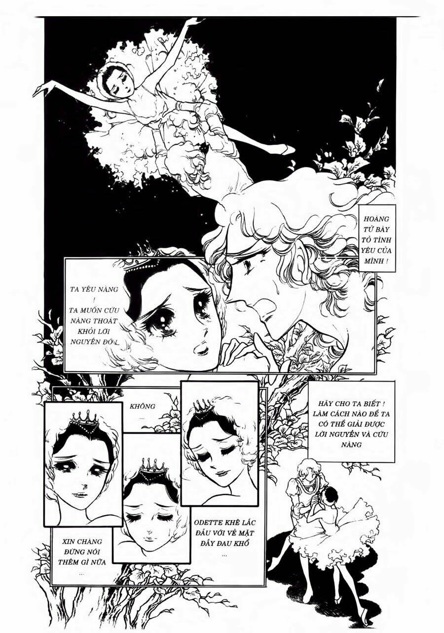 Swan - Vũ Khúc Thiên Nga: Chapter 45