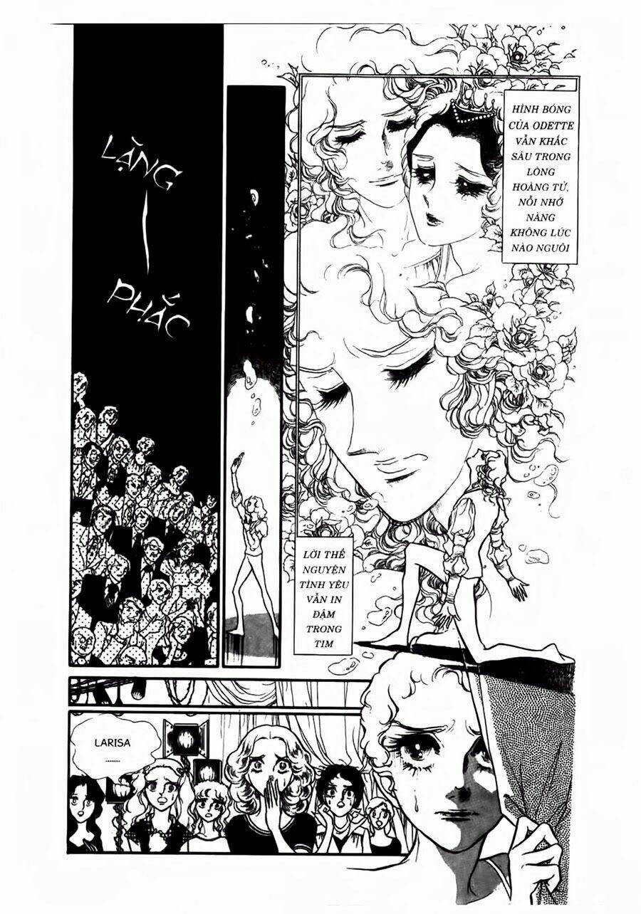 Swan - Vũ Khúc Thiên Nga: Chapter 45