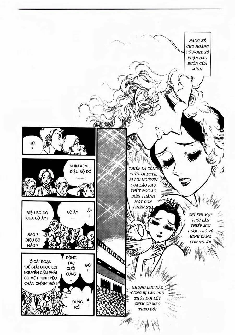 Swan - Vũ Khúc Thiên Nga: Chapter 45