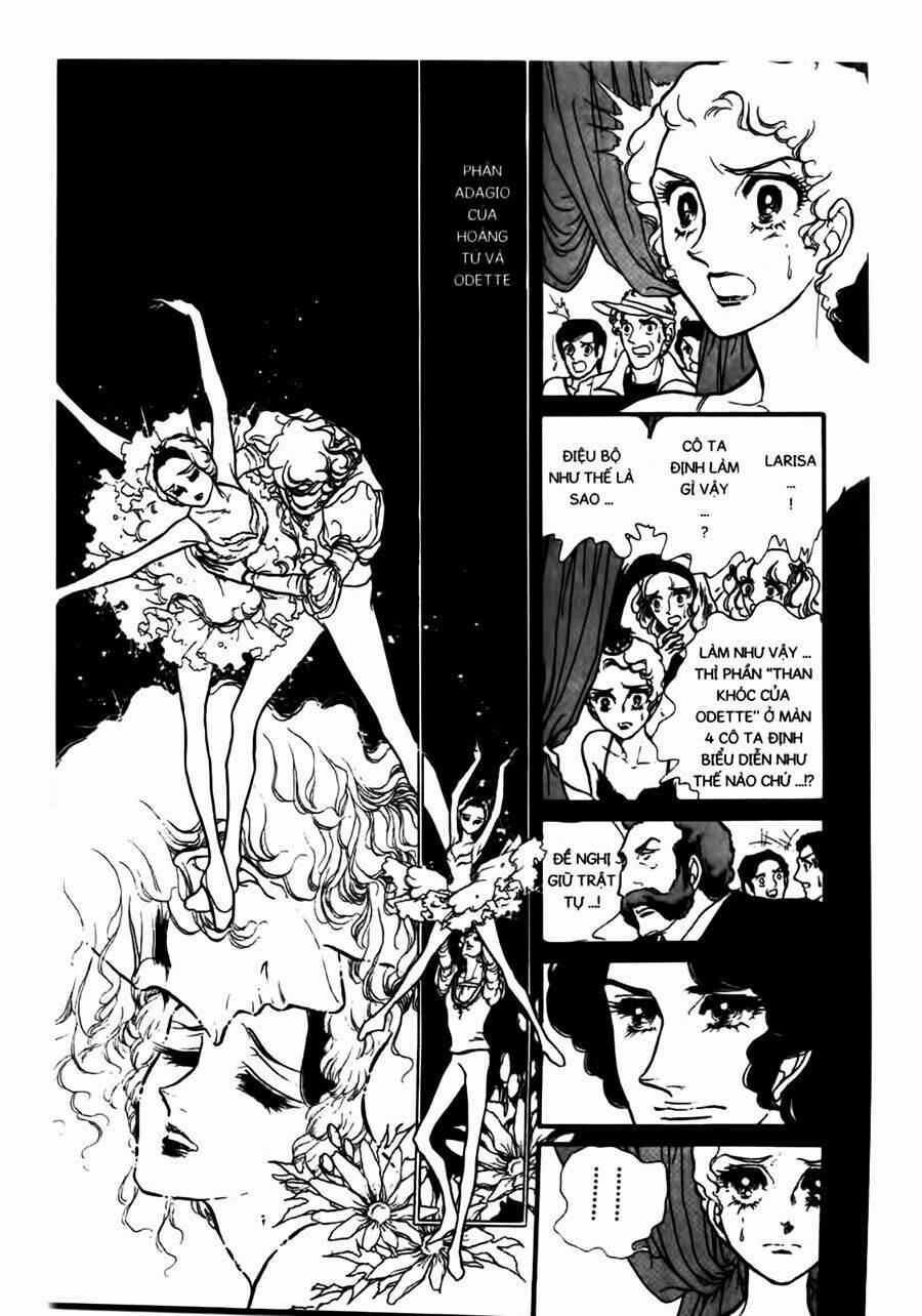 Swan - Vũ Khúc Thiên Nga: Chapter 45