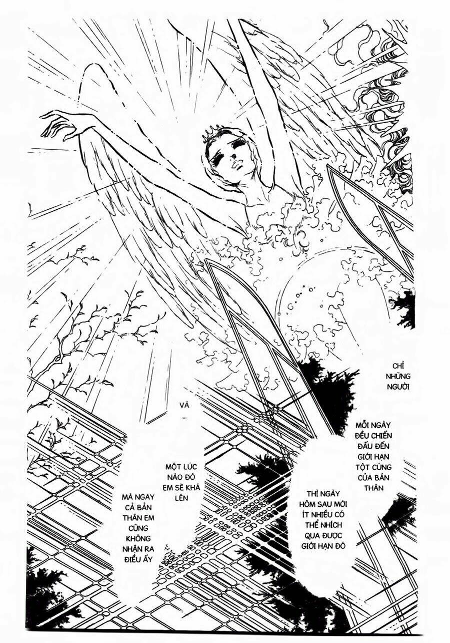 Swan - Vũ Khúc Thiên Nga: Chapter 47