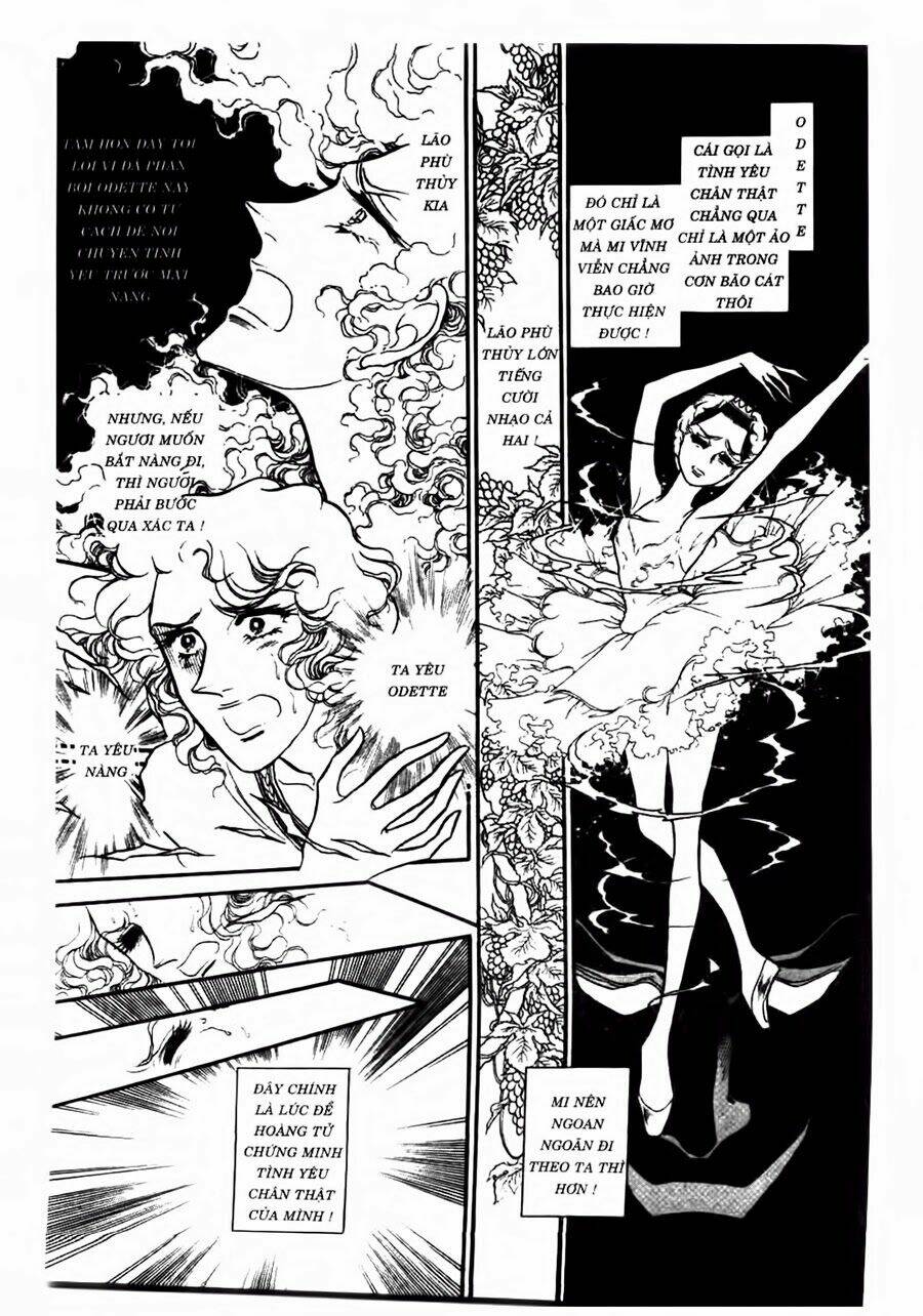 Swan - Vũ Khúc Thiên Nga: Chapter 47