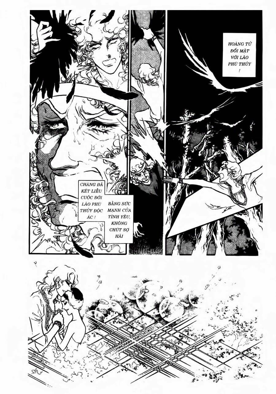 Swan - Vũ Khúc Thiên Nga: Chapter 47