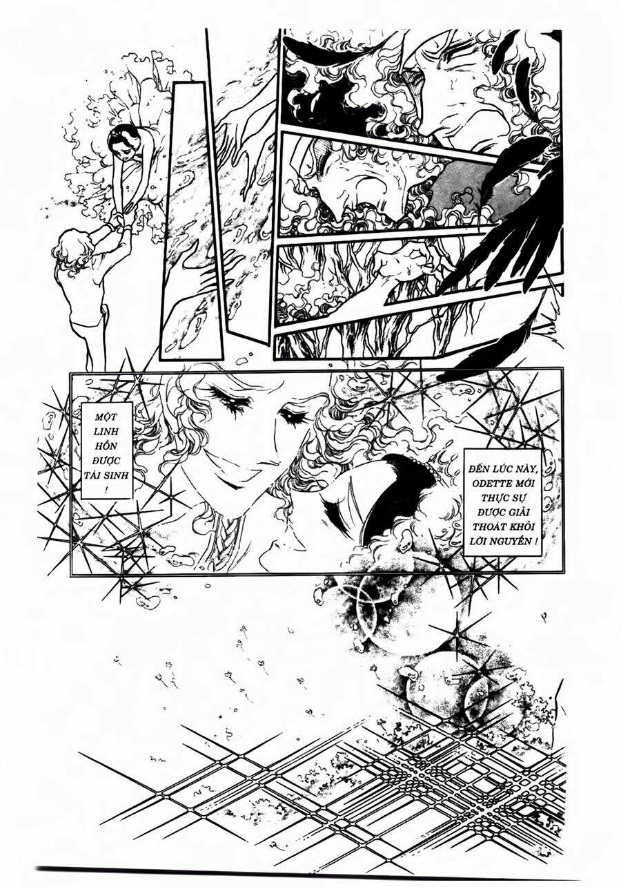 Swan - Vũ Khúc Thiên Nga: Chapter 48