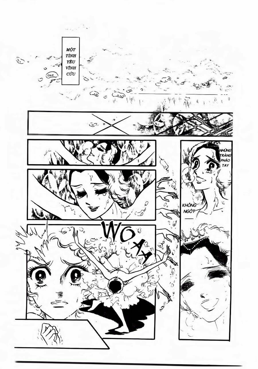 Swan - Vũ Khúc Thiên Nga: Chapter 48