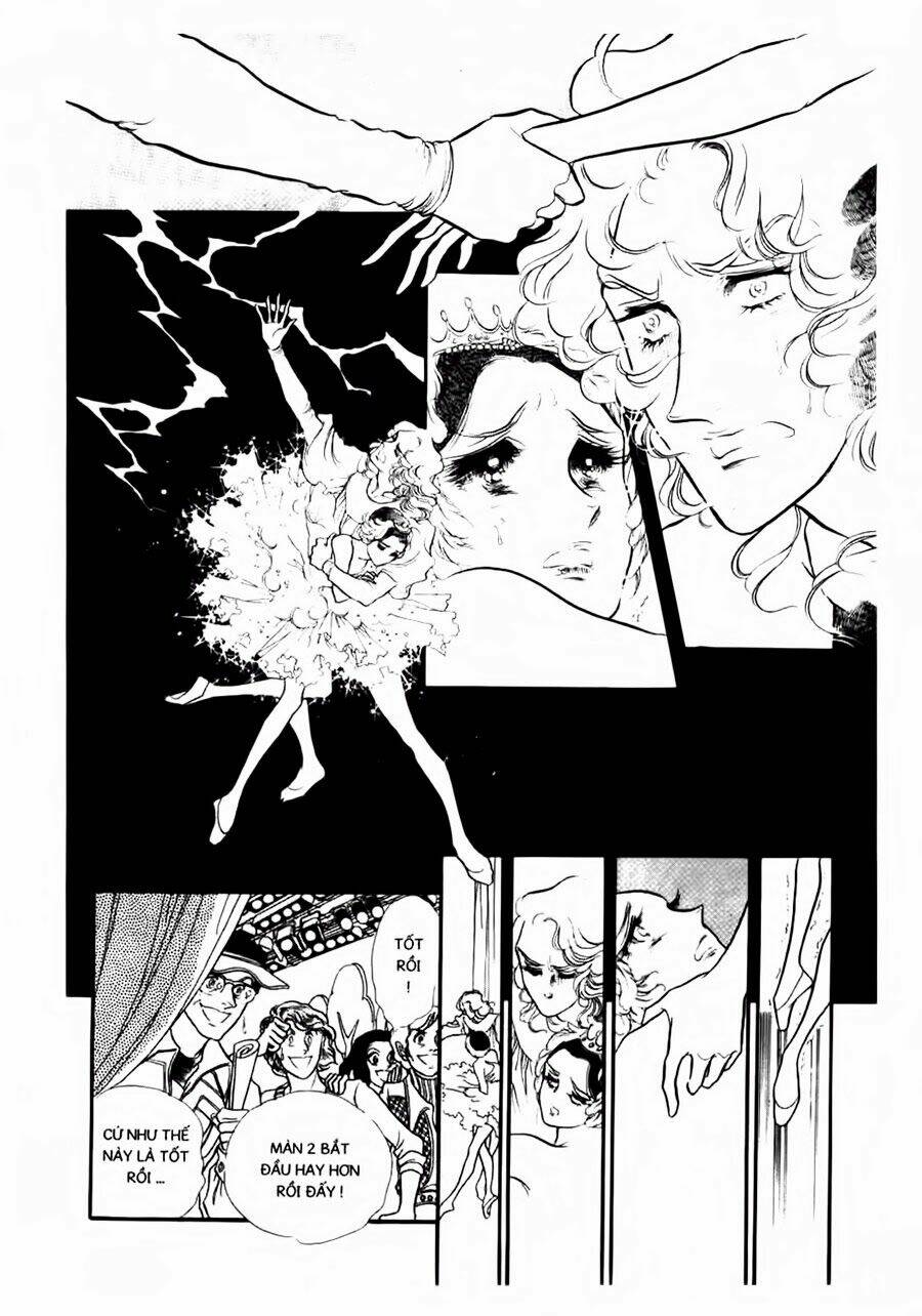 Swan - Vũ Khúc Thiên Nga: Chapter 53
