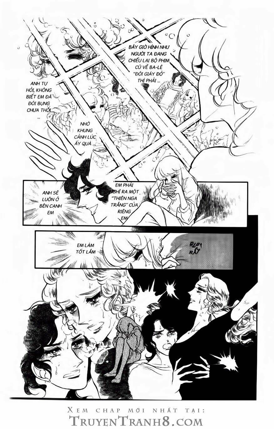 Swan - Vũ Khúc Thiên Nga: Chapter 60