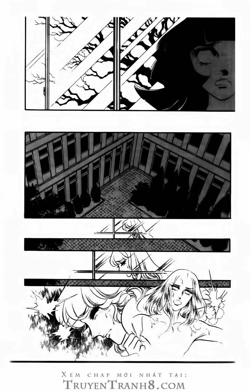 Swan - Vũ Khúc Thiên Nga: Chapter 62