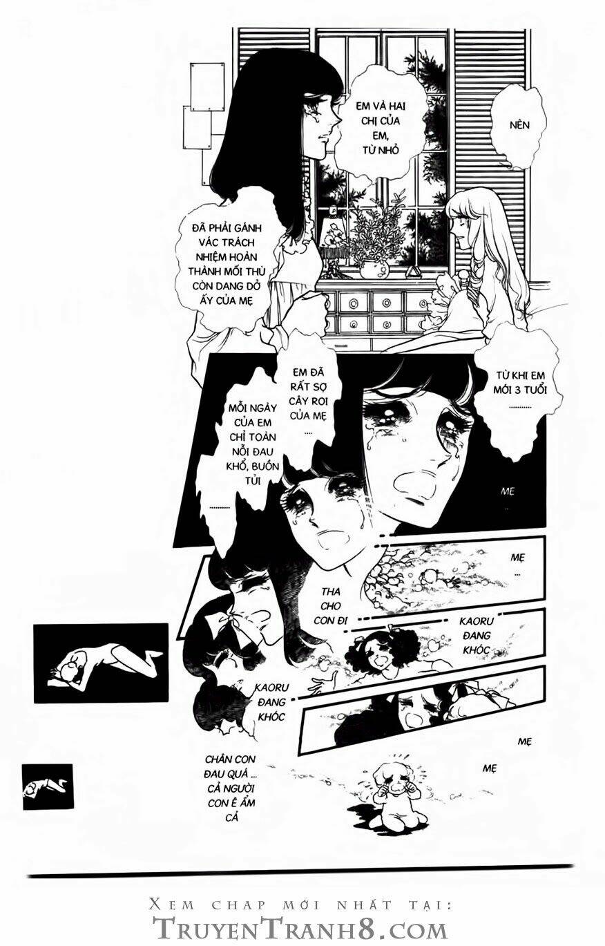 Swan - Vũ Khúc Thiên Nga: Chapter 63
