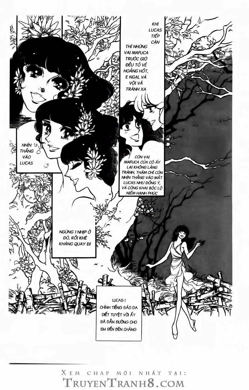 Swan - Vũ Khúc Thiên Nga: Chapter 64