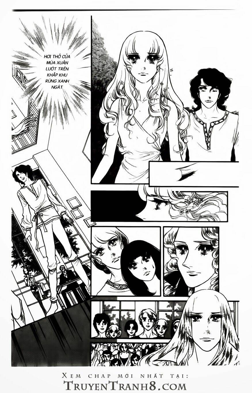 Swan - Vũ Khúc Thiên Nga: Chapter 65
