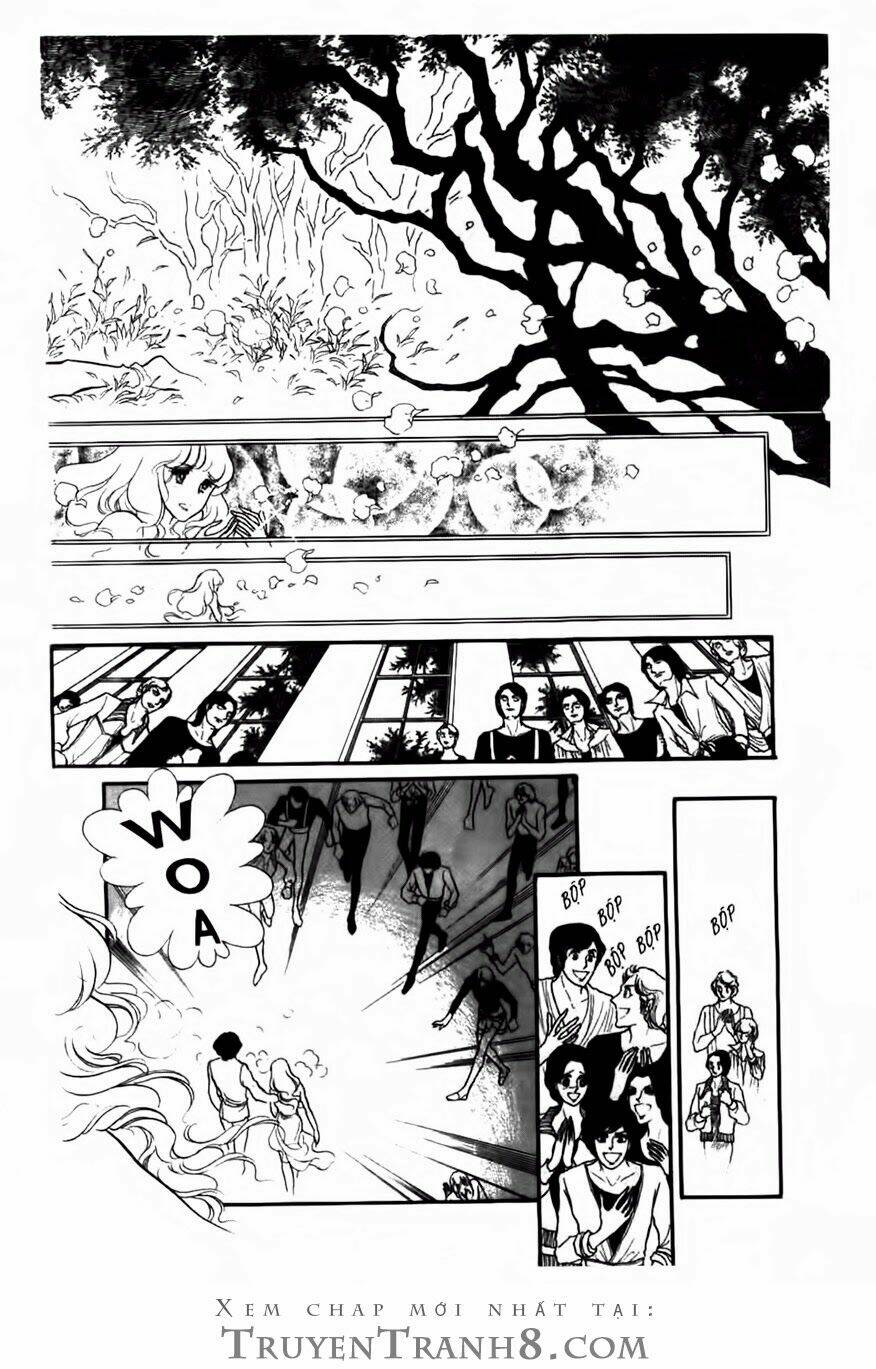 Swan - Vũ Khúc Thiên Nga: Chapter 66
