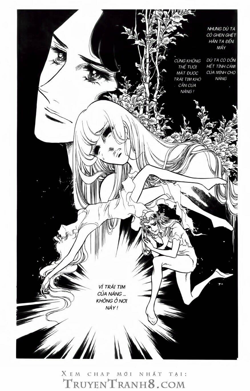 Swan - Vũ Khúc Thiên Nga: Chapter 71