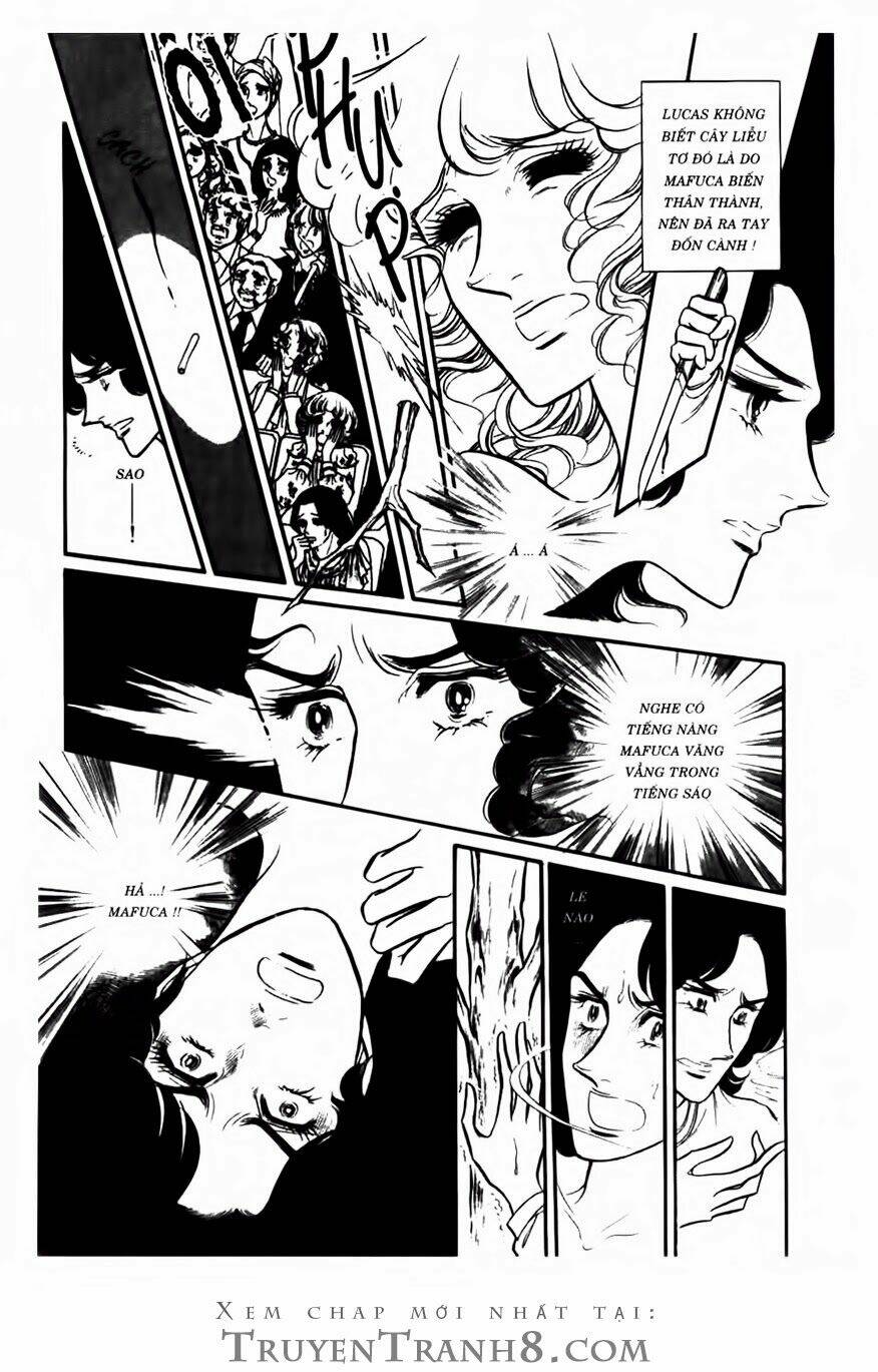 Swan - Vũ Khúc Thiên Nga: Chapter 72
