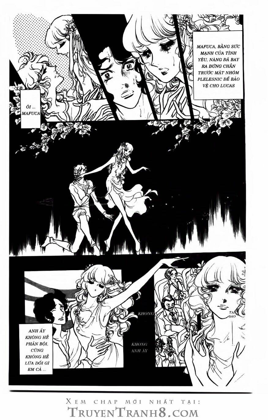 Swan - Vũ Khúc Thiên Nga: Chapter 72