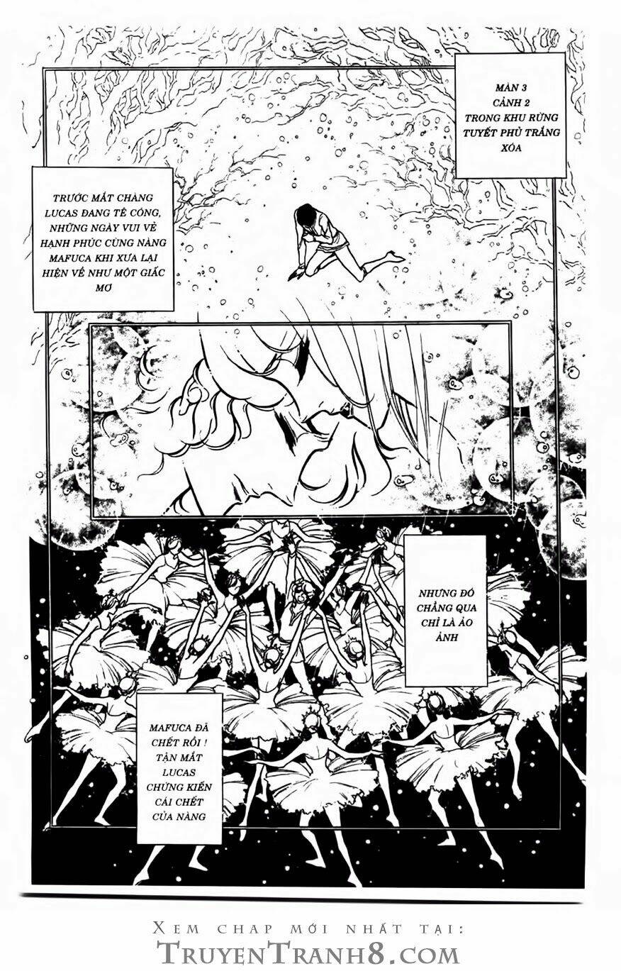 Swan - Vũ Khúc Thiên Nga: Chapter 73